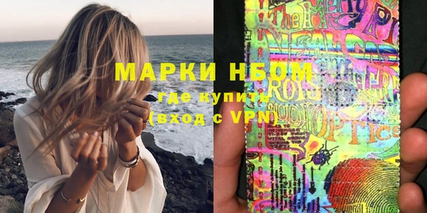 индика Богданович