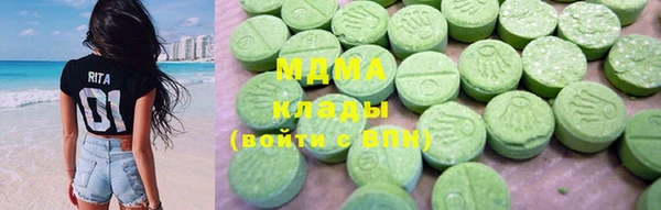 крисы Бородино