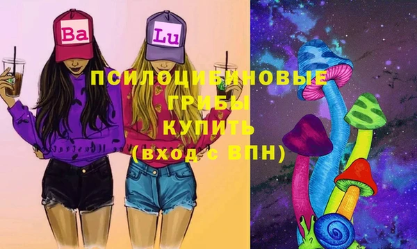 гашик Богородицк