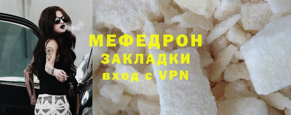 индика Богданович