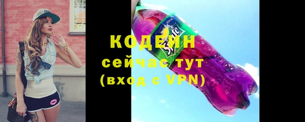 индика Богданович