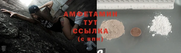 индика Богданович