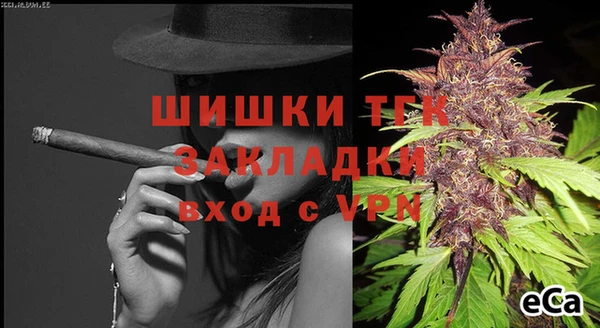 гидра Бронницы