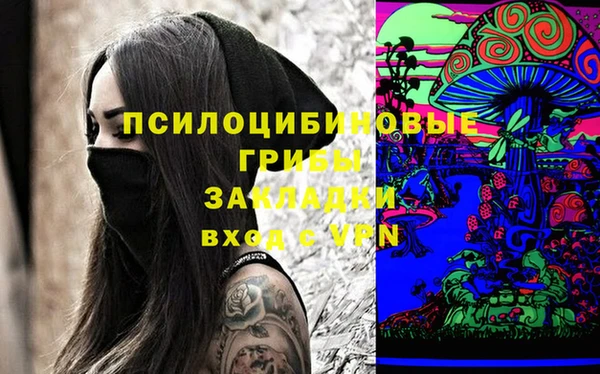 индика Богданович