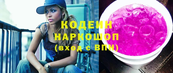 индика Богданович