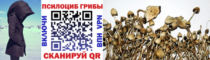 Купить закладки  Тайшет  Псилоцибиновые грибы ЛСД 