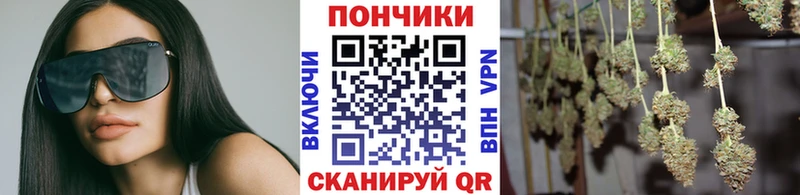 Купить закладки  Тайшет  Бошки марихуана MAZAR 